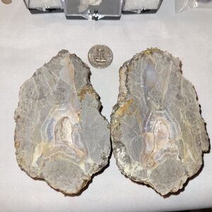 Raw Agatized and Calcified Thunderegg Pair from Oregon